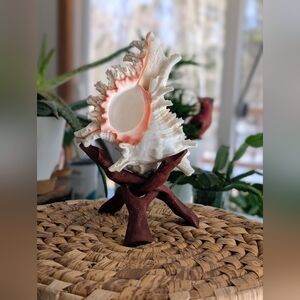 Large Coastal Sea Shell Decor on Stand – Coastal Ocean Vibe